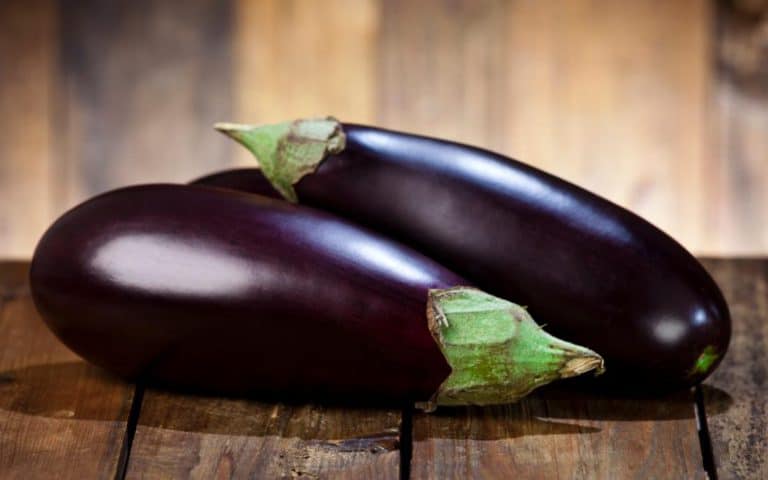 Eggplant Nutrition Calories Carbs Protein And Nutrition Facts Livofy 