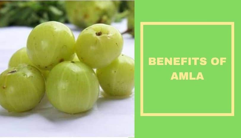 All about Gooseberries | Keto India | Healthcare and Lifestyle