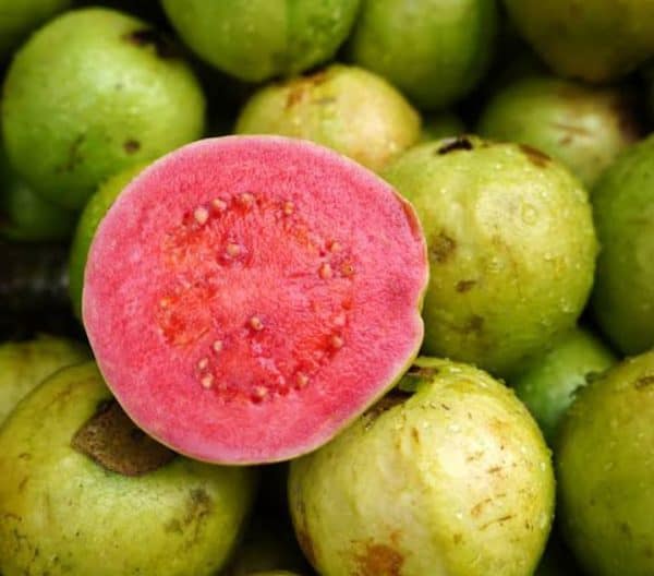 guava-for-diabetes-guava-benefits-weight-loss-livofy-diet-plans