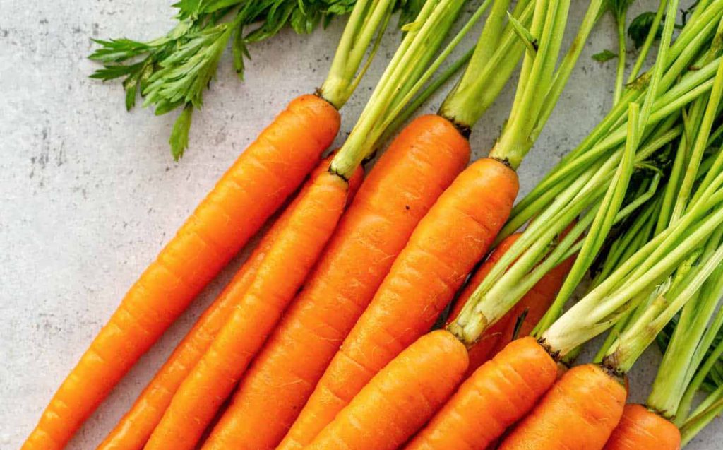 Nutritional Importance Of Carrots Science Of Weight Loss Livofy