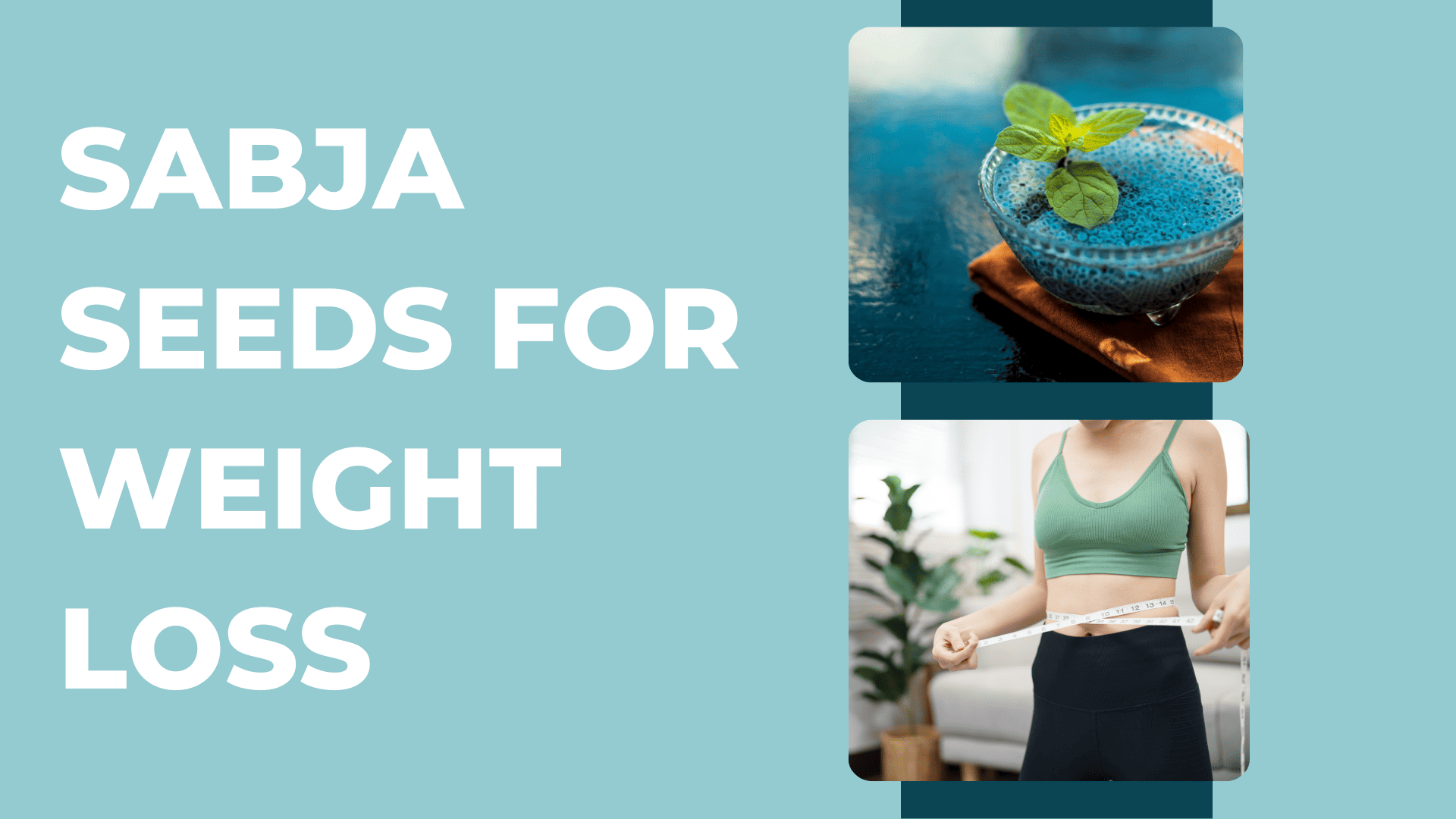 Sabja Seeds for Weight Loss Benefits How to use Livofy