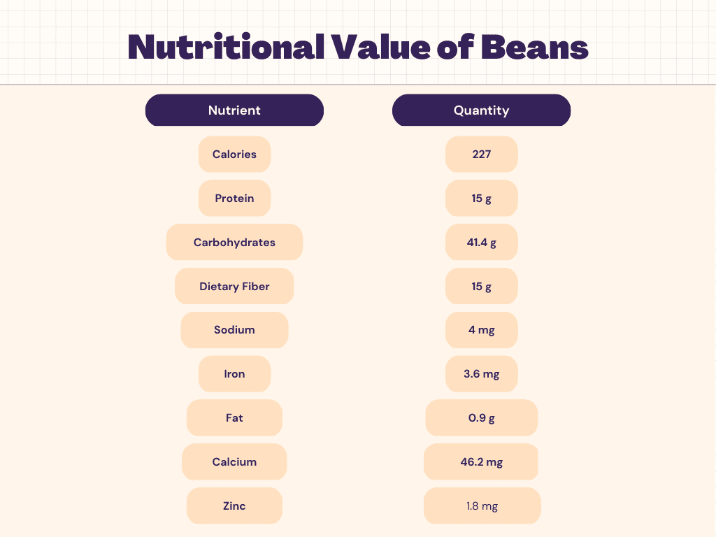 Beans Nutrition Calories Protein Carbs