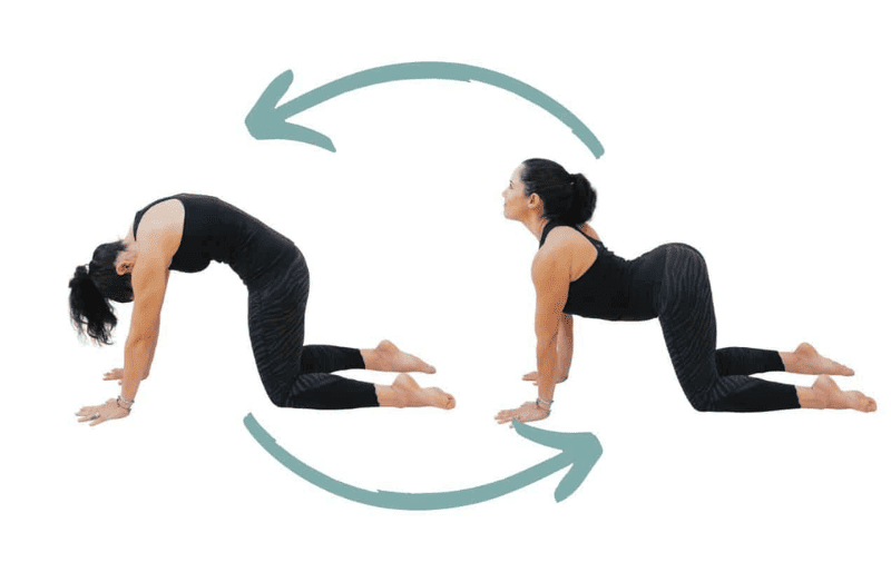 3 Popular Asanas To Increase Your Height Niche Data Factory