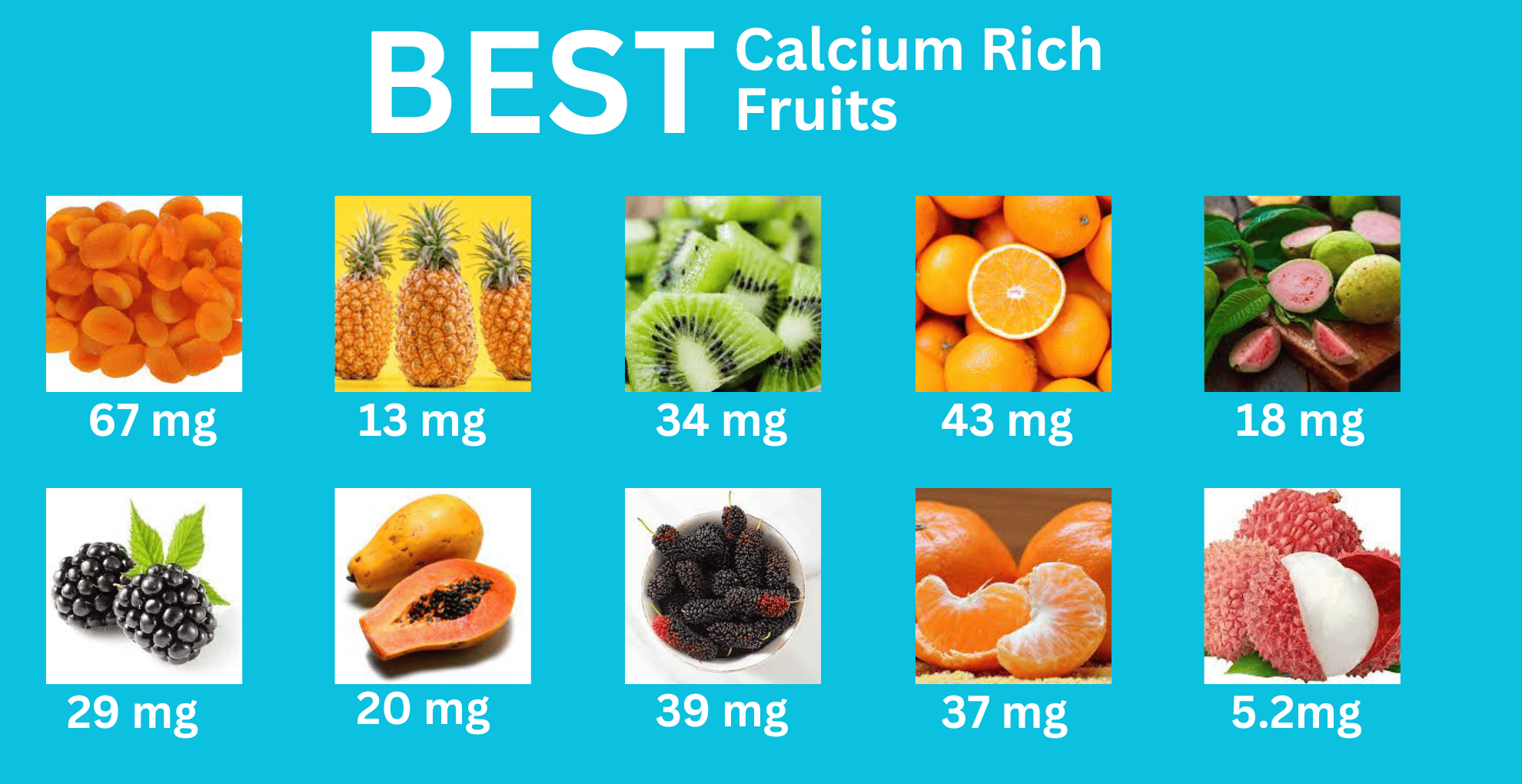 Calcium Rich Foods Chart