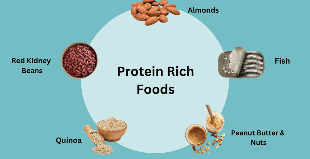 20 Protein Rich Foods List according to Dietitians