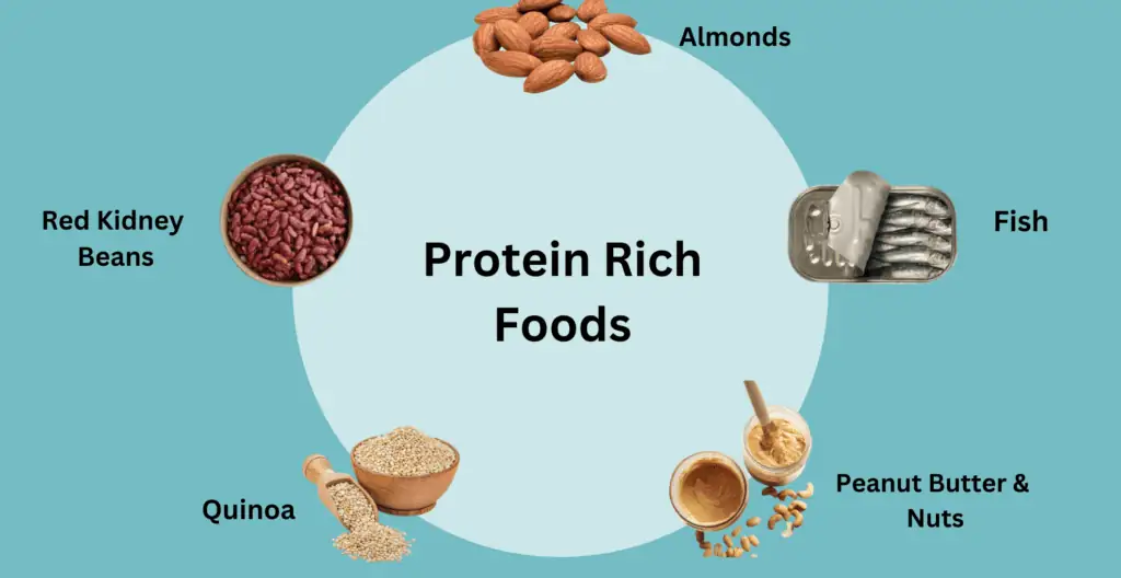 Protein-Rich Foods