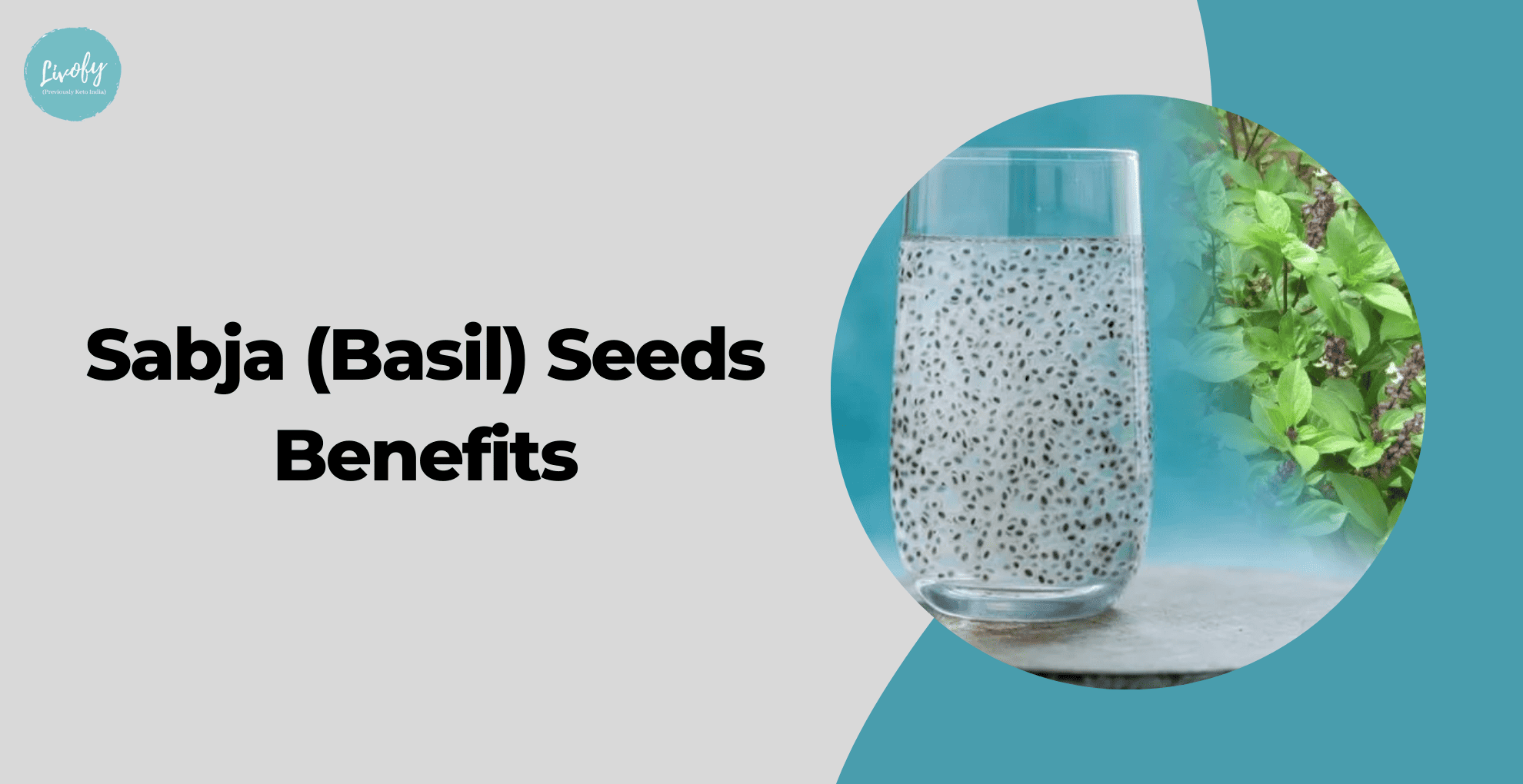 11 Health Benefits of Sabja Seeds (Basil Seeds) | Livofy