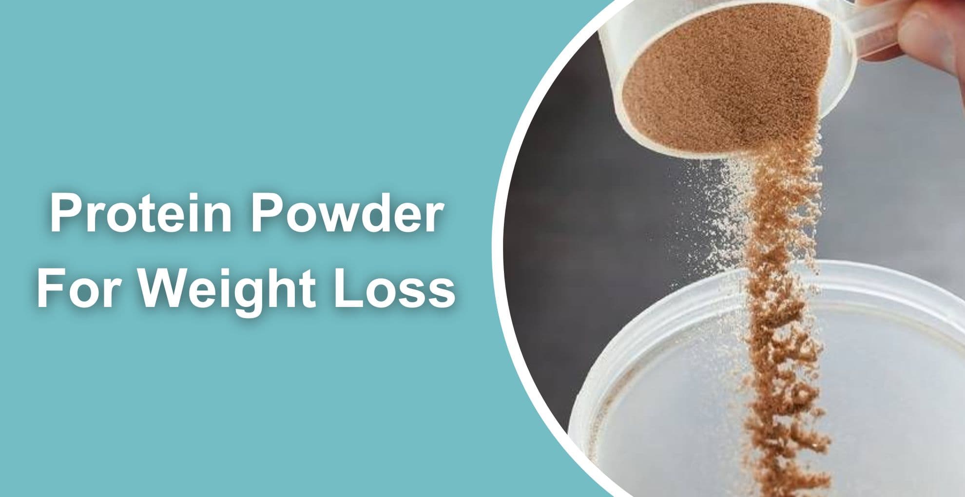 Best Protein Powders For Weight Loss In 2023 | Livofy