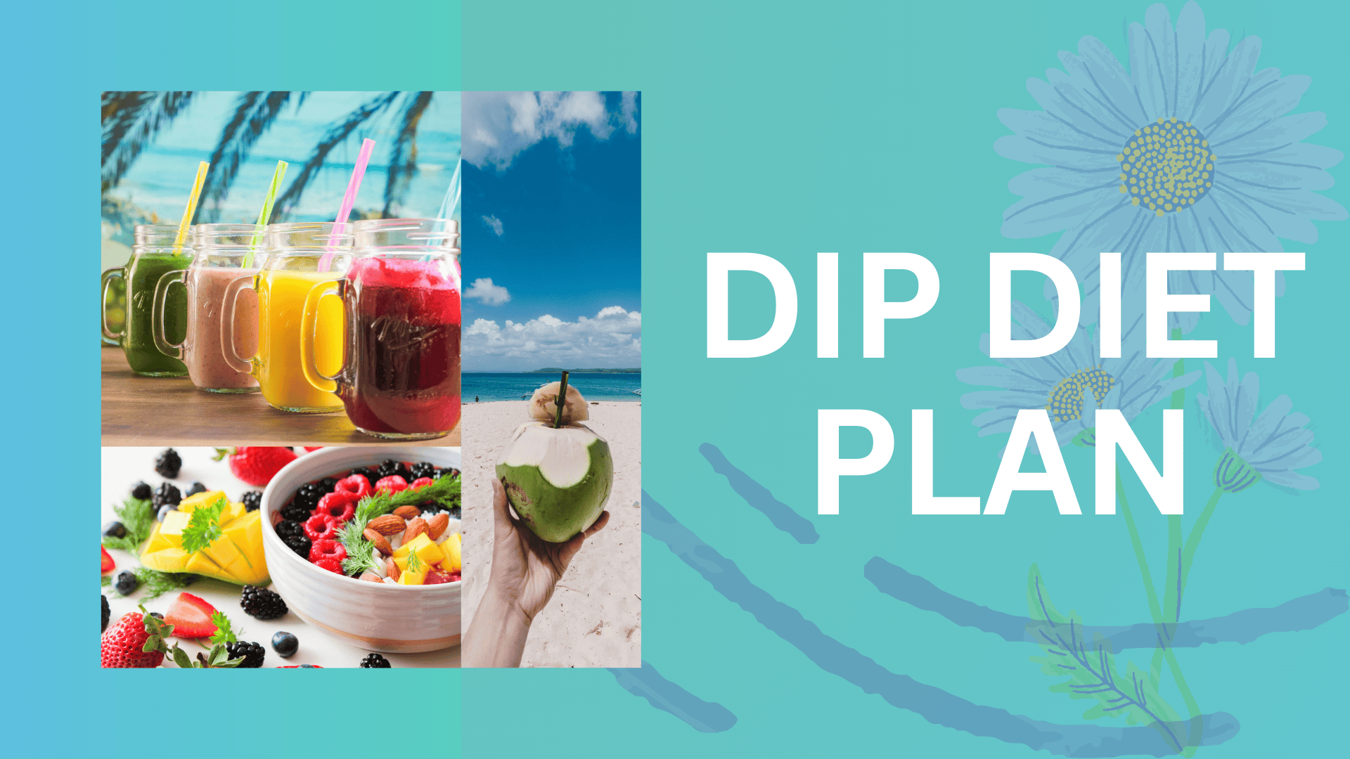 DIP Diet Plan: A Simplified Approach to Healthy Eating